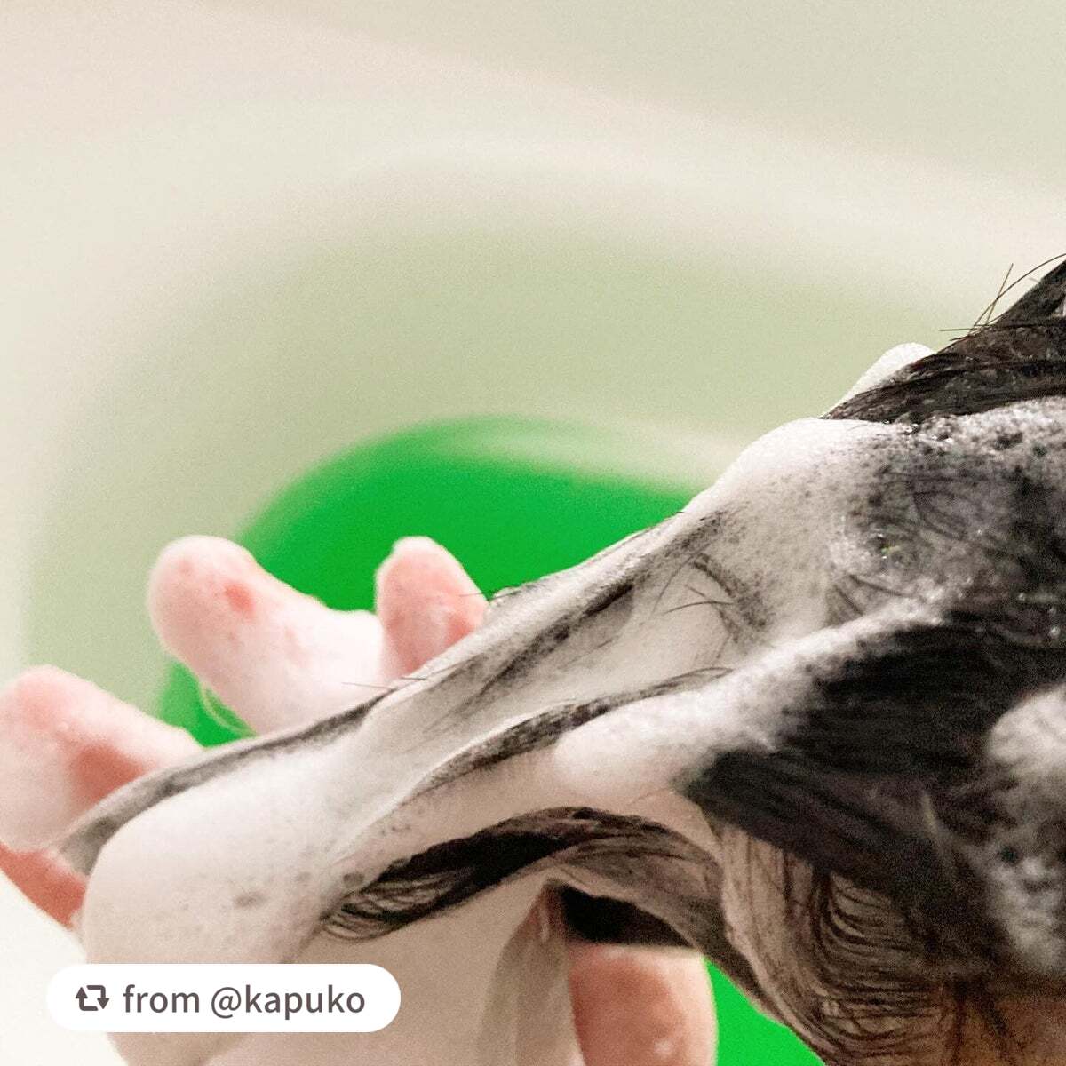 プルント ディープリペア美容液シャンプー/トリートメント/Purunt./市販シャンプーを使ったクチコミ(5枚目)