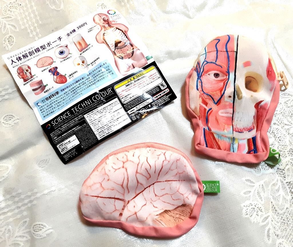 やち on LIPS 「人体解剖模型ポーチ1回 300円たまたま見かけ一目惚れし2回、..」(2枚目)