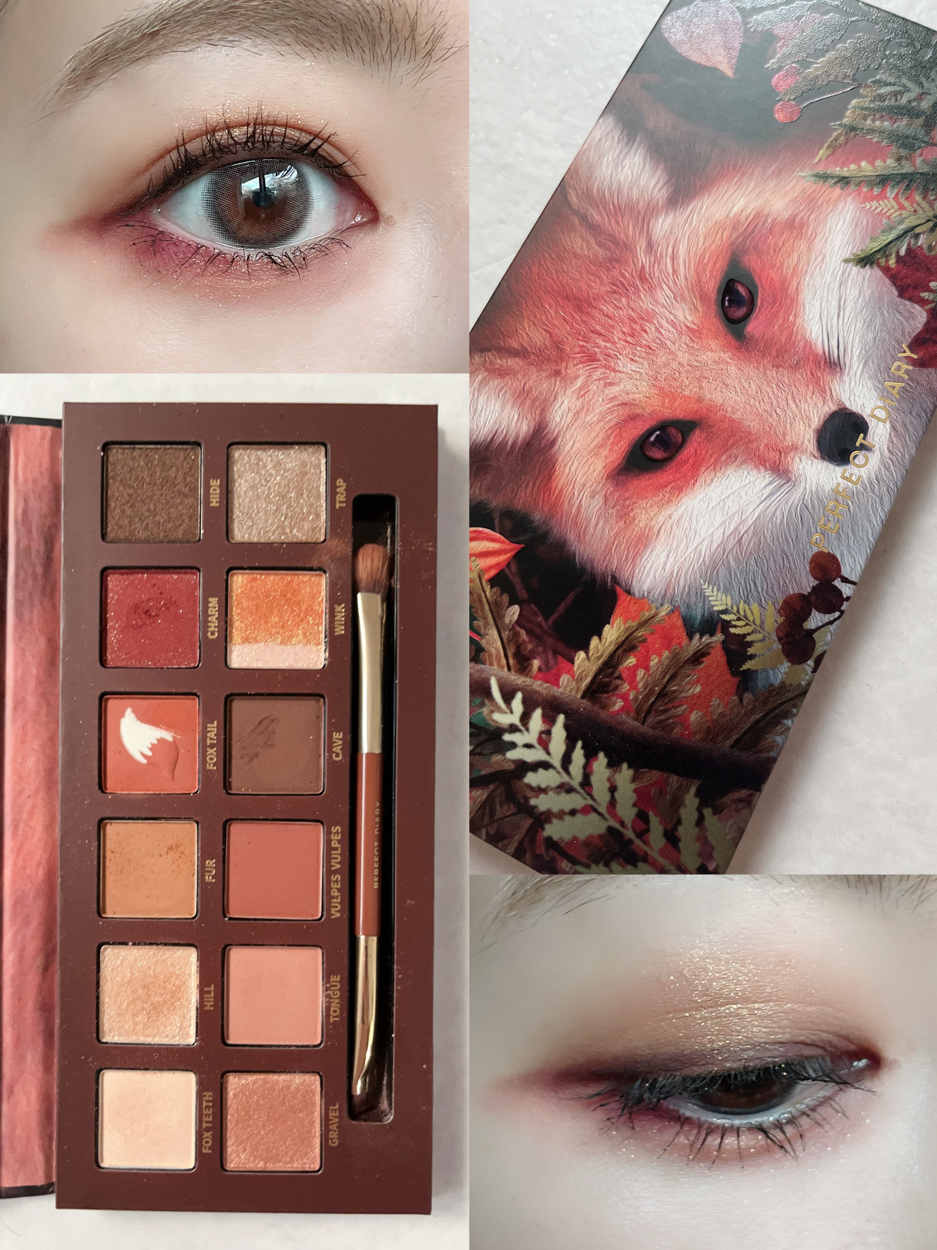 エクスプローラ12色 動物アイシャドウパレット/PERFECT DIARY/アイシャドウパレットを使ったクチコミ（3枚目）