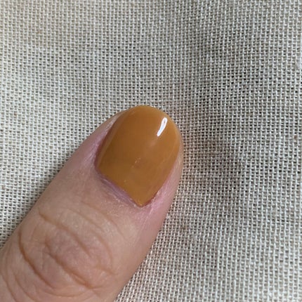 エクセル ネイルポリッシュ N NL18 ジンジャースパイス/excel/マニキュアを使ったクチコミ(2枚目)