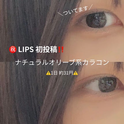 knock knock/SHOBIDO/カラーコンタクトレンズを使ったクチコミ(1枚目)