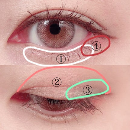 バロックペイント15色/PEONYELF/アイシャドウパレットを使ったクチコミ(4枚目)