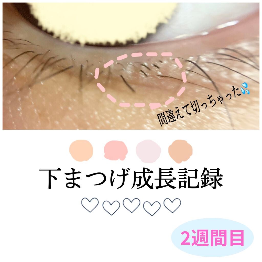 ラッシュジェリードロップ EX/MAJOLICA MAJORCA/まつげ美容液を使ったクチコミ(1枚目)