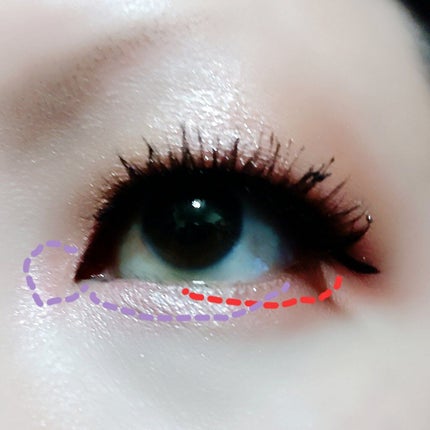 アイカラーパレット/heme/アイシャドウパレットを使ったクチコミ(4枚目)