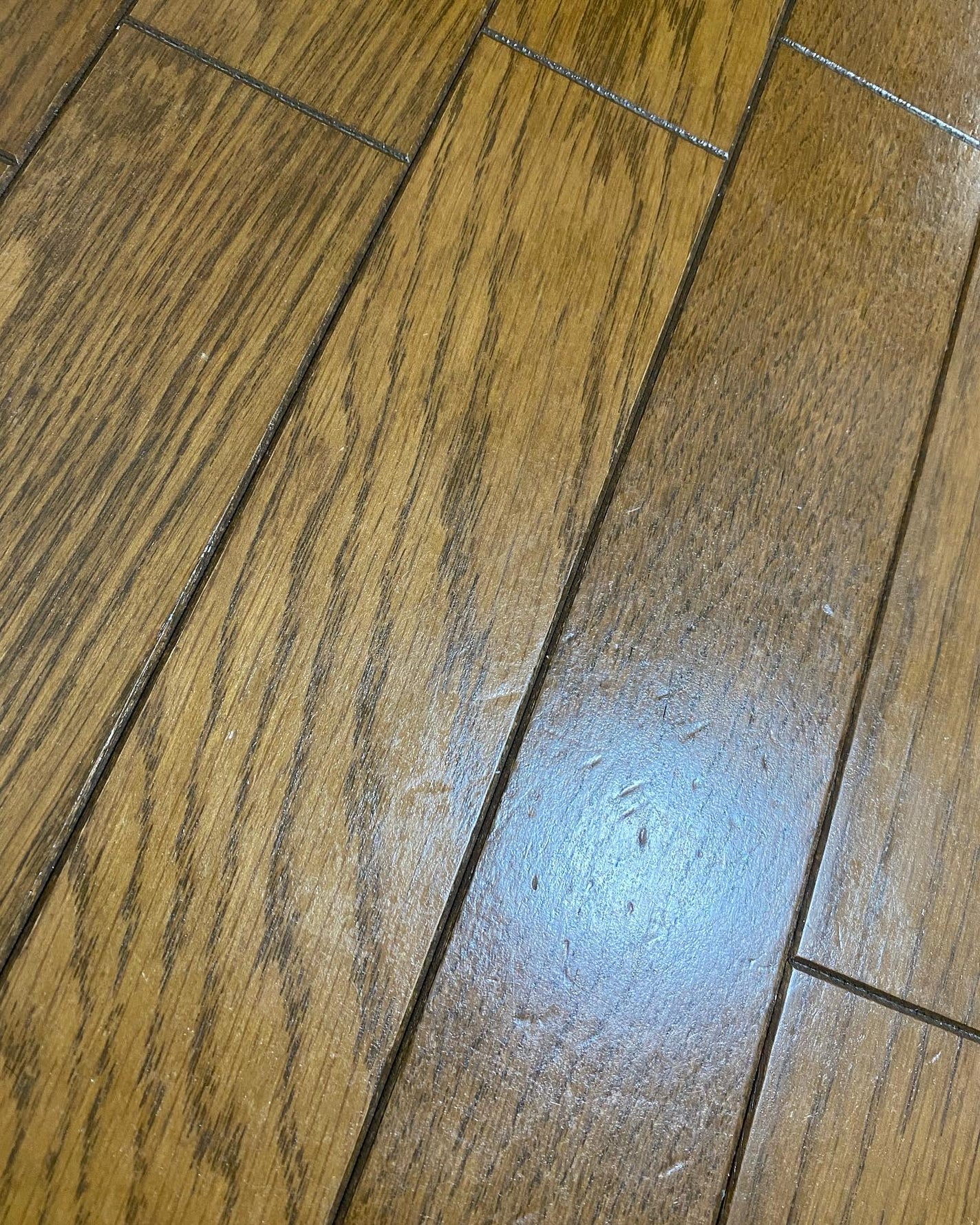 サラン on LIPS 「リンレイ様よりフローリング専用ワックスシートいただきました。あ..」(3枚目)