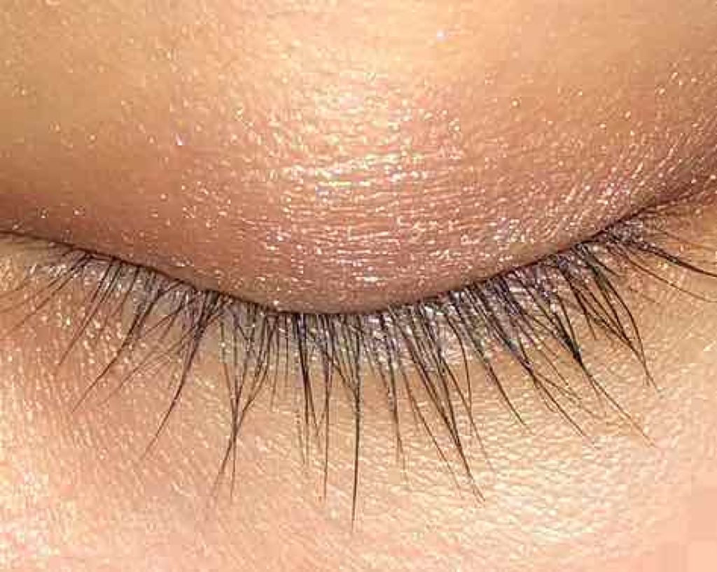 アイラッシュカーラー/SHISEIDO/ビューラーを使ったクチコミ（1枚目）