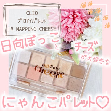 プロ アイ パレット 19 NAPPING CHEESE/CLIO/アイシャドウパレットを使ったクチコミ（1枚目）