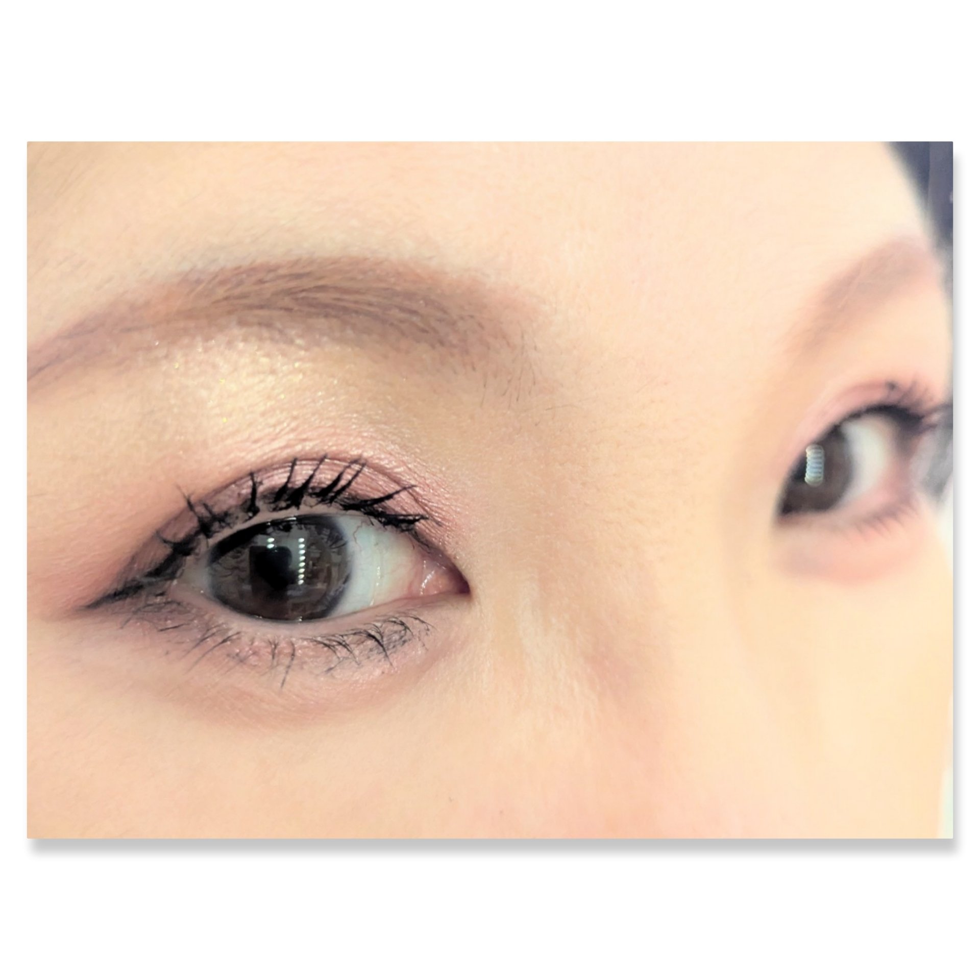 ラブ・ライナー ドラマティックガーデンコレクション カラーパレット ＜アイシャドウ＞ ロージィムード/ラブ・ライナー/アイシャドウパレットを使ったクチコミ（2枚目）