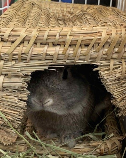 3COINS/3COINS/その他を使ったクチコミ(2枚目)