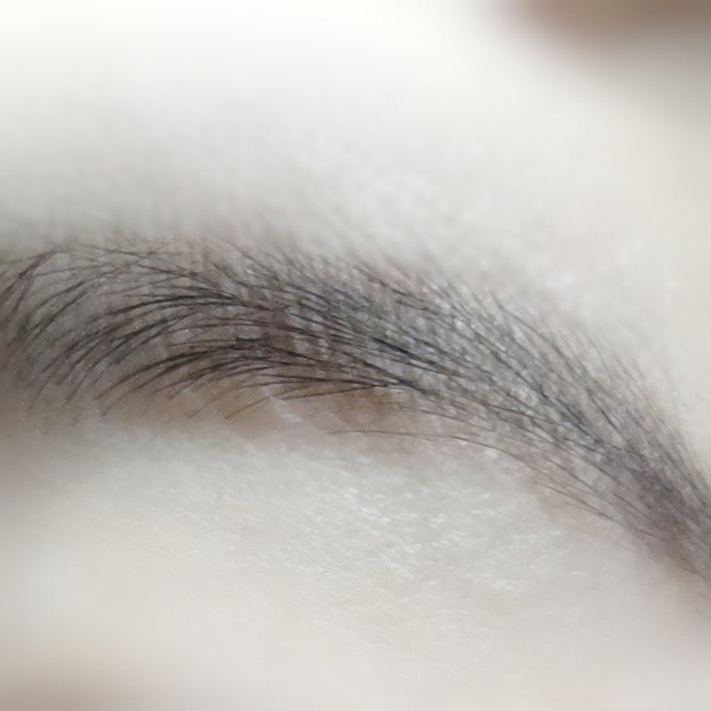 ブローシェーダー/shu uemura/パウダーアイブロウを使ったクチコミ(5枚目)