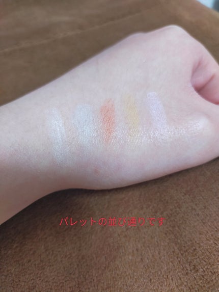 パステルヴェールコンシーラー/キャンメイク/パレットコンシーラーを使ったクチコミ(3枚目)