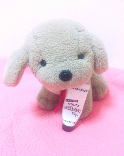 ラスティングマルチアイベース WP/キャンメイク/アイシャドウベースを使ったクチコミ(1枚目)