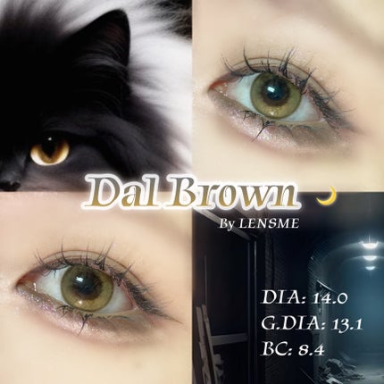 ダルブラウン/LENSME/カラーコンタクトレンズを使ったクチコミ(1枚目)
