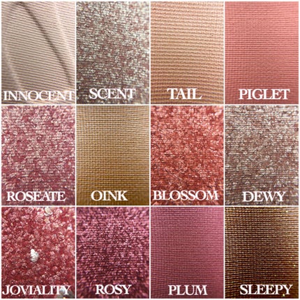 エクスプローラ12色 動物アイシャドウパレット/PERFECT DIARY/アイシャドウパレットを使ったクチコミ(3枚目)