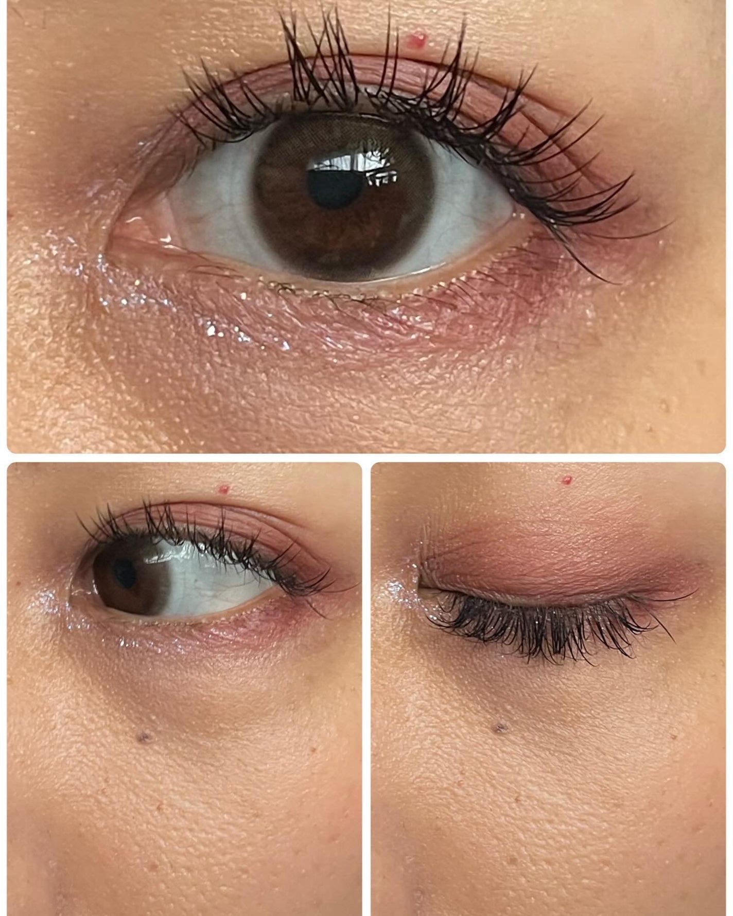 TOPARDS 1day/TOPARDS/ワンデー(1DAY)カラコンを使ったクチコミ(4枚目)