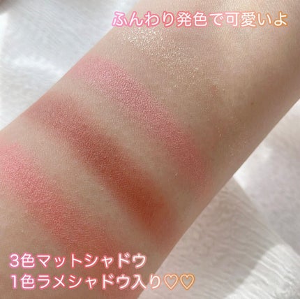 シルキースフレアイズ(マットタイプ)/キャンメイク/アイシャドウパレットを使ったクチコミ(5枚目)