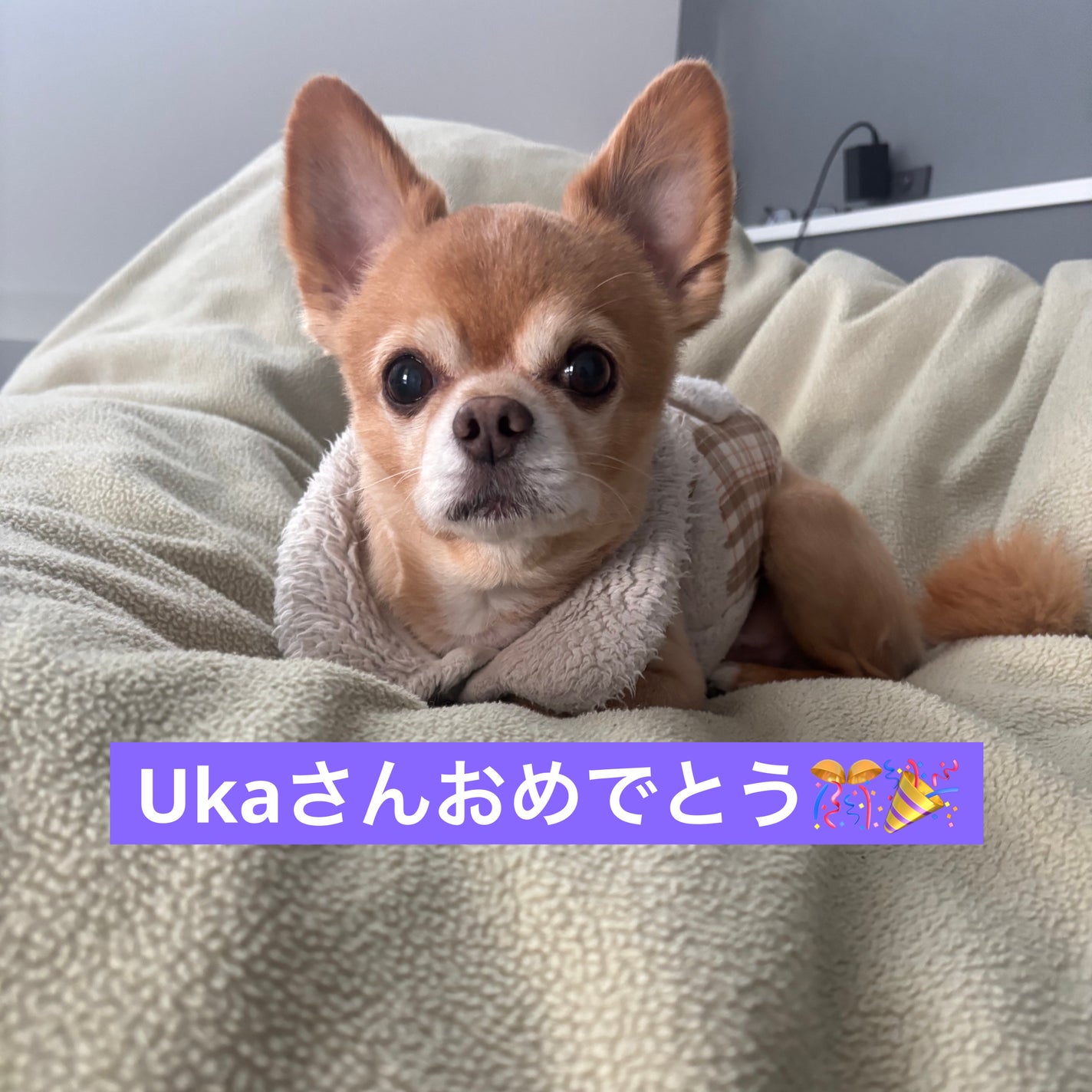 ミニネイル/パラドゥ/マニキュアを使ったクチコミ(6枚目)