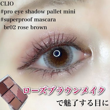 プロ アイパレット ミニ/CLIO/アイシャドウパレットを使ったクチコミ（1枚目）