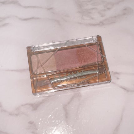 ノーズ&アイブロウパウダー/CEZANNE/パウダーアイブロウを使ったクチコミ(1枚目)