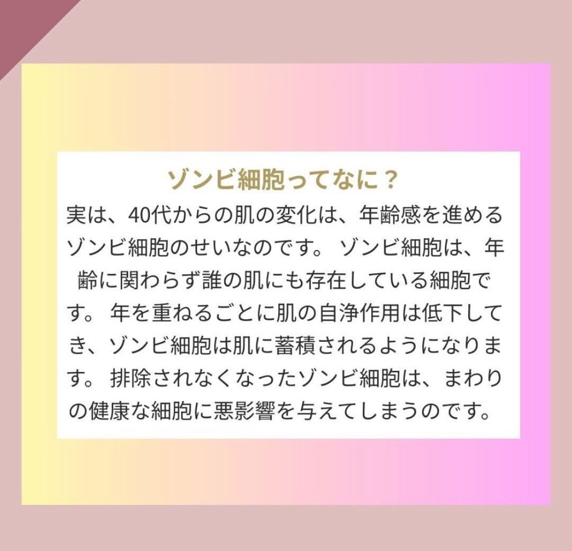薬用リンクルハリスチャー/マナラ/美容液を使ったクチコミ(6枚目)