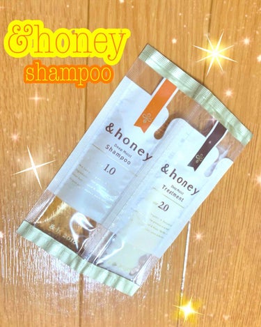 ディープモイスト シャンプー1.0／ヘアトリートメント2.0/&honey/シャンプー・コンディショナーを使ったクチコミ（1枚目）