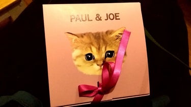 リップスティック/PAUL & JOE BEAUTE/口紅を使ったクチコミ（3枚目）