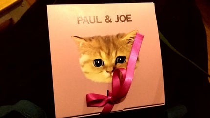 リップスティック/PAUL & JOE BEAUTE/口紅を使ったクチコミ(3枚目)