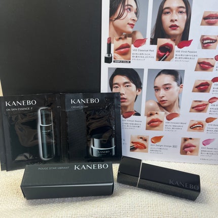 ルージュスターヴァイブラント/KANEBO/口紅を使ったクチコミ(3枚目)