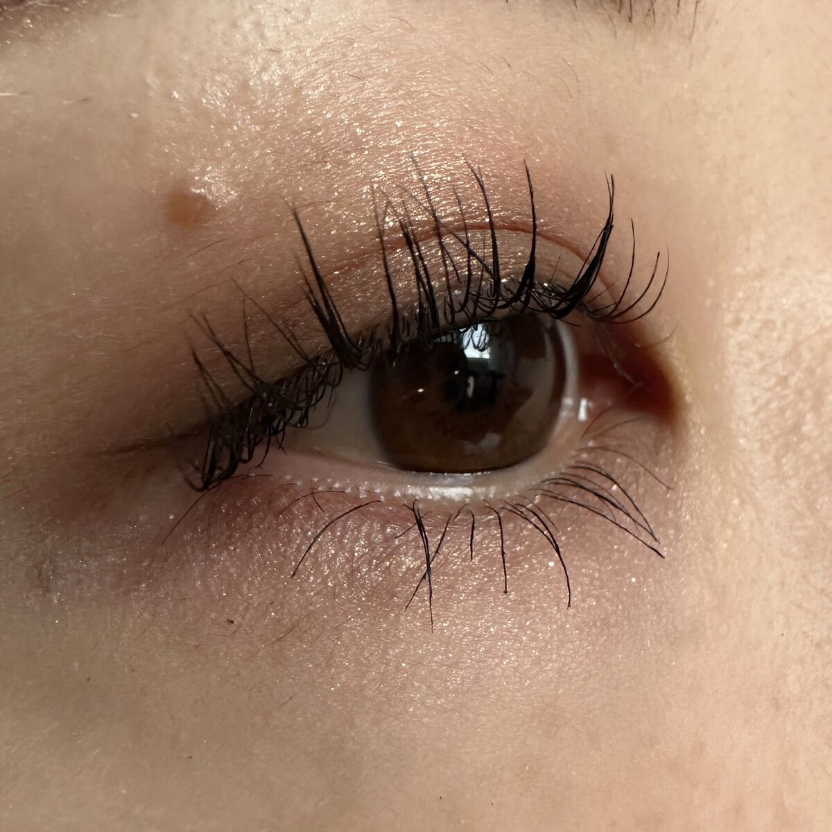 レ キャトル オンブル ツイード/CHANEL/アイシャドウパレットを使ったクチコミ（2枚目）