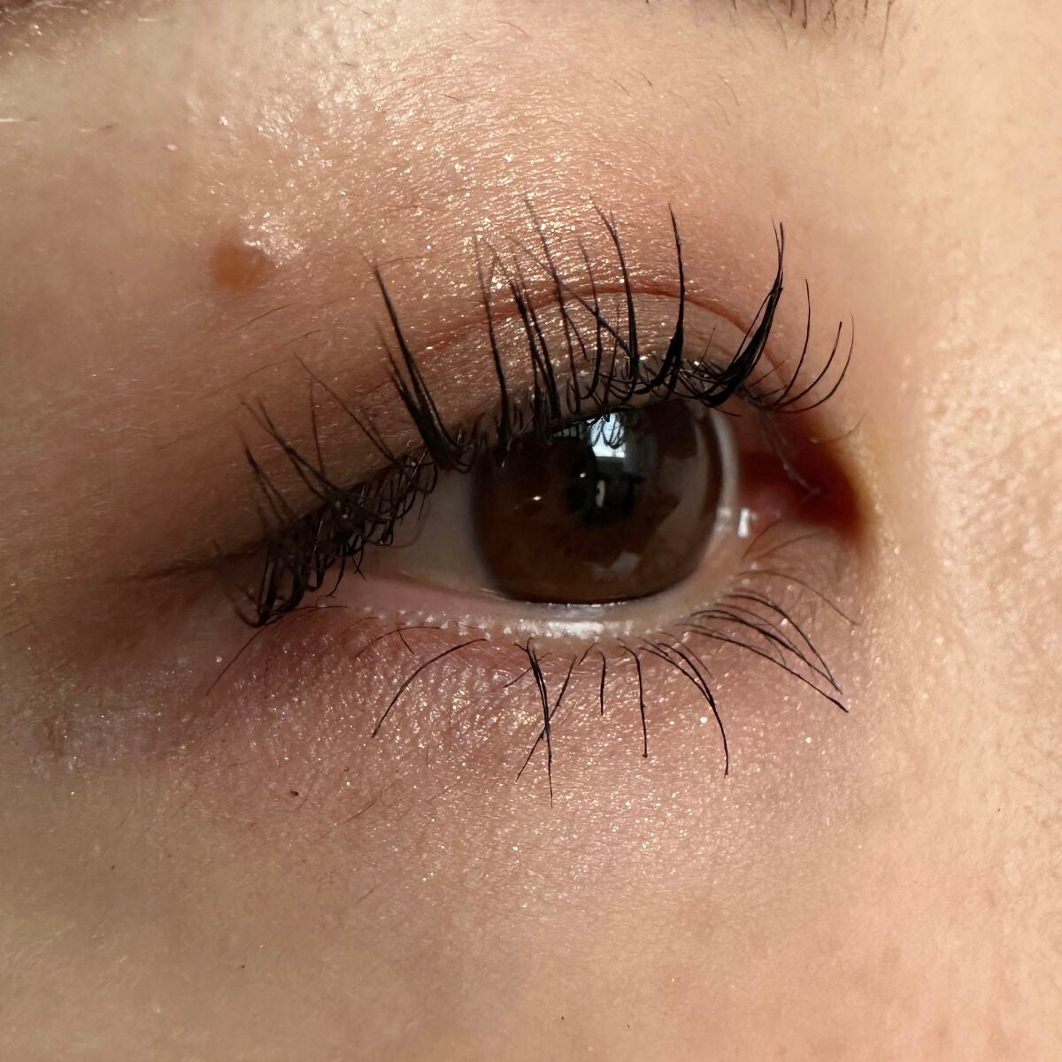 パーフェクトエクステンション マスカラ/D-UP/マスカラを使ったクチコミ(2枚目)
