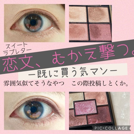 ジェミネイトアイズ N/LUNASOL/アイシャドウパレットを使ったクチコミ(1枚目)