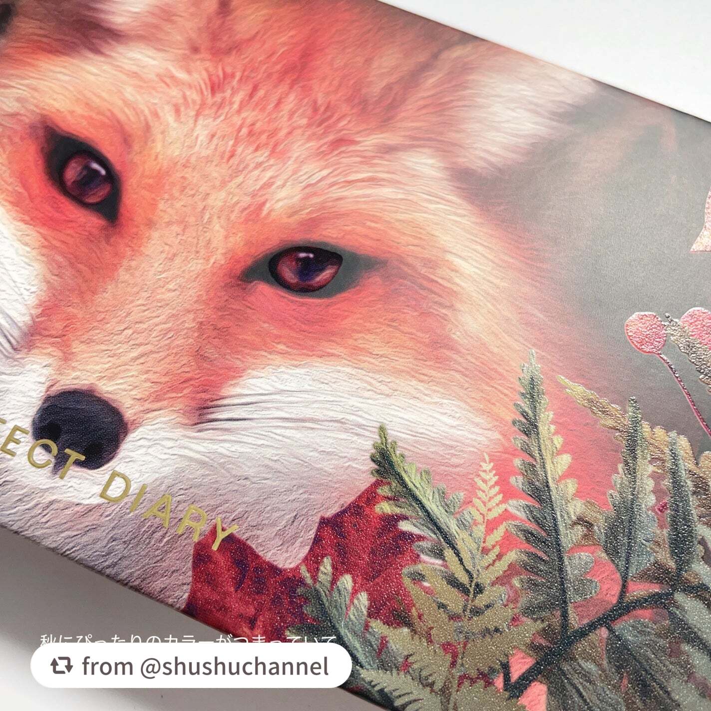 エクスプローラ12色 動物アイシャドウパレット/PERFECT DIARY/アイシャドウパレットを使ったクチコミ(6枚目)