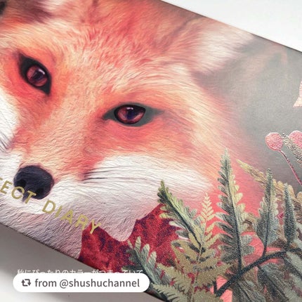 エクスプローラ12色 動物アイシャドウパレット/PERFECT DIARY/アイシャドウパレットを使ったクチコミ(6枚目)