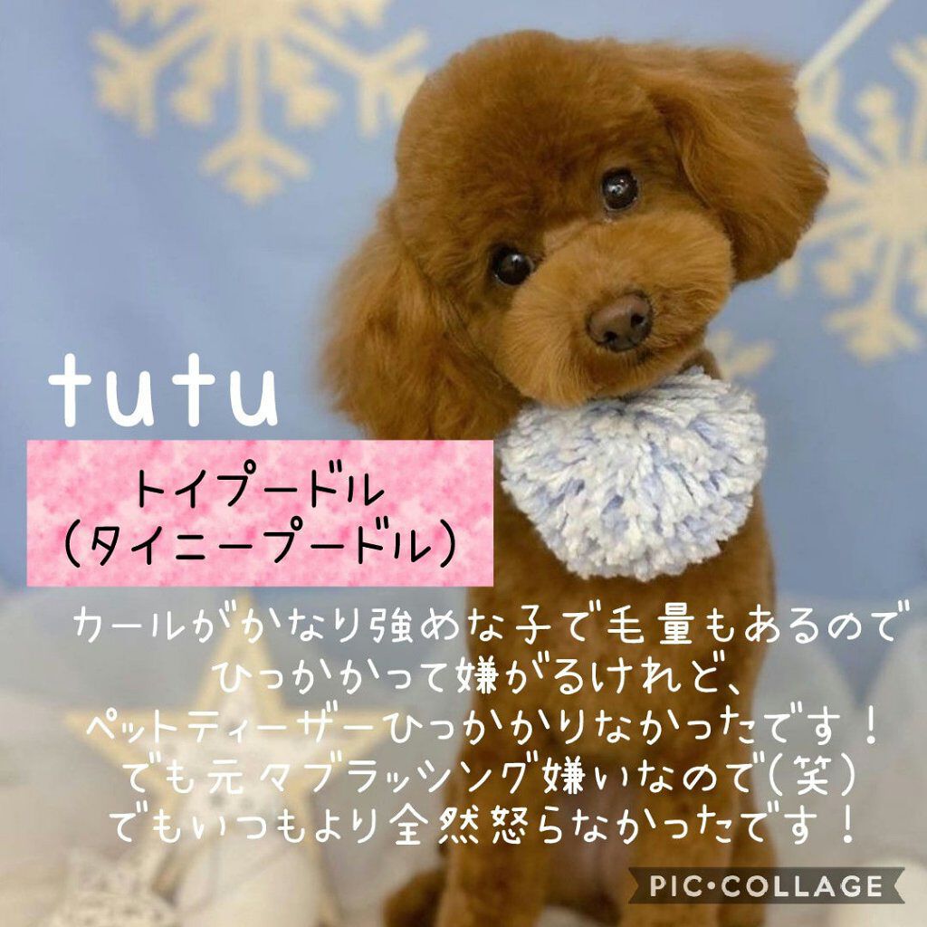ペットティーザー パピー/TANGLE TEEZER/その他を使ったクチコミ（3枚目）