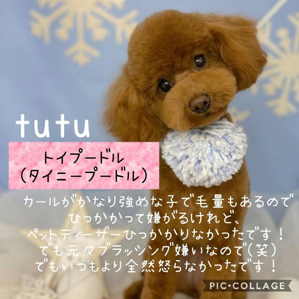 ペットティーザー パピー/TANGLE TEEZER/その他を使ったクチコミ(3枚目)