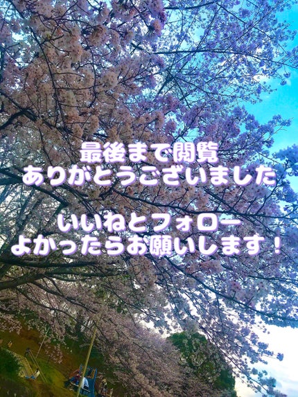 ツバキオイル集中補修美容液/黒ばら純椿油/ヘアオイルを使ったクチコミ(2枚目)