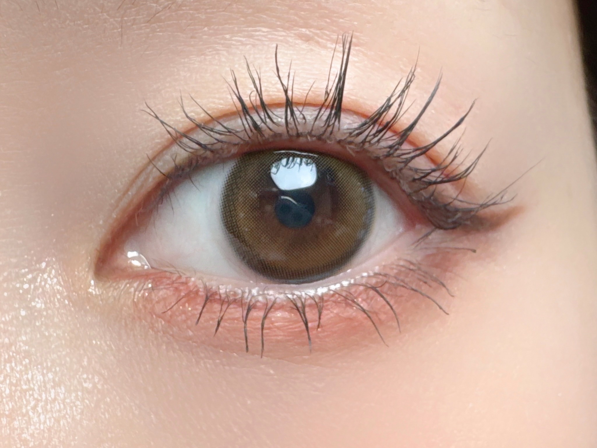 feliamo 1day ウーロンティー/feliamo/ワンデー（１DAY）カラコンを使ったクチコミ（2枚目）