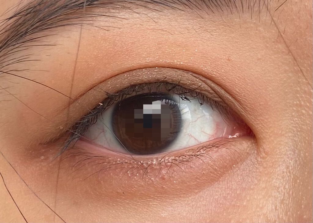 THE アイパレR/b idol/アイシャドウパレットを使ったクチコミ(2枚目)