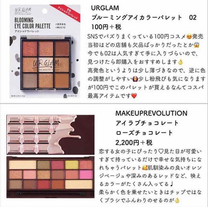 ꒰ᐢ⸝⸝•௰•⸝⸝ᐢ꒱ on LIPS 「コスパ◎シャドウパレット最近投稿めんどくさくなってきたので、写..」(4枚目)