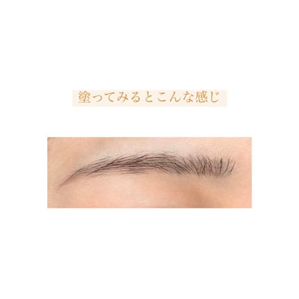 &.眉ペンシル 丸芯 ブラシ付き/DAISO/アイブロウペンシルを使ったクチコミ(2枚目)