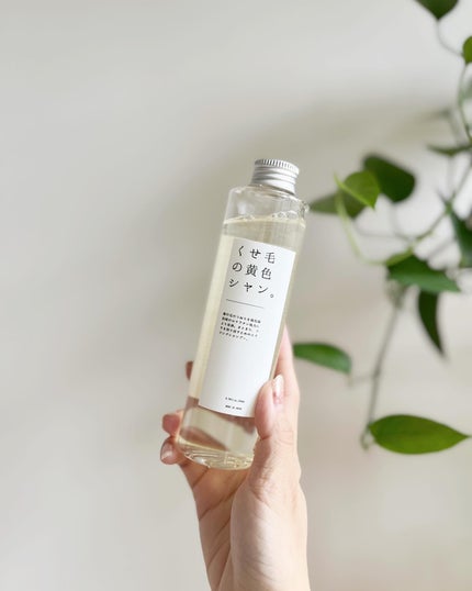 POTACIA くせ毛の黄色シャン。