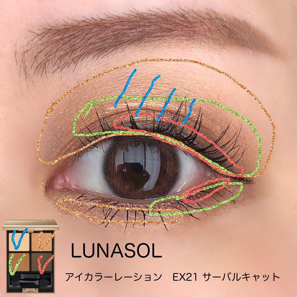 アイカラーレーション/LUNASOL/アイシャドウパレットを使ったクチコミ(4枚目)