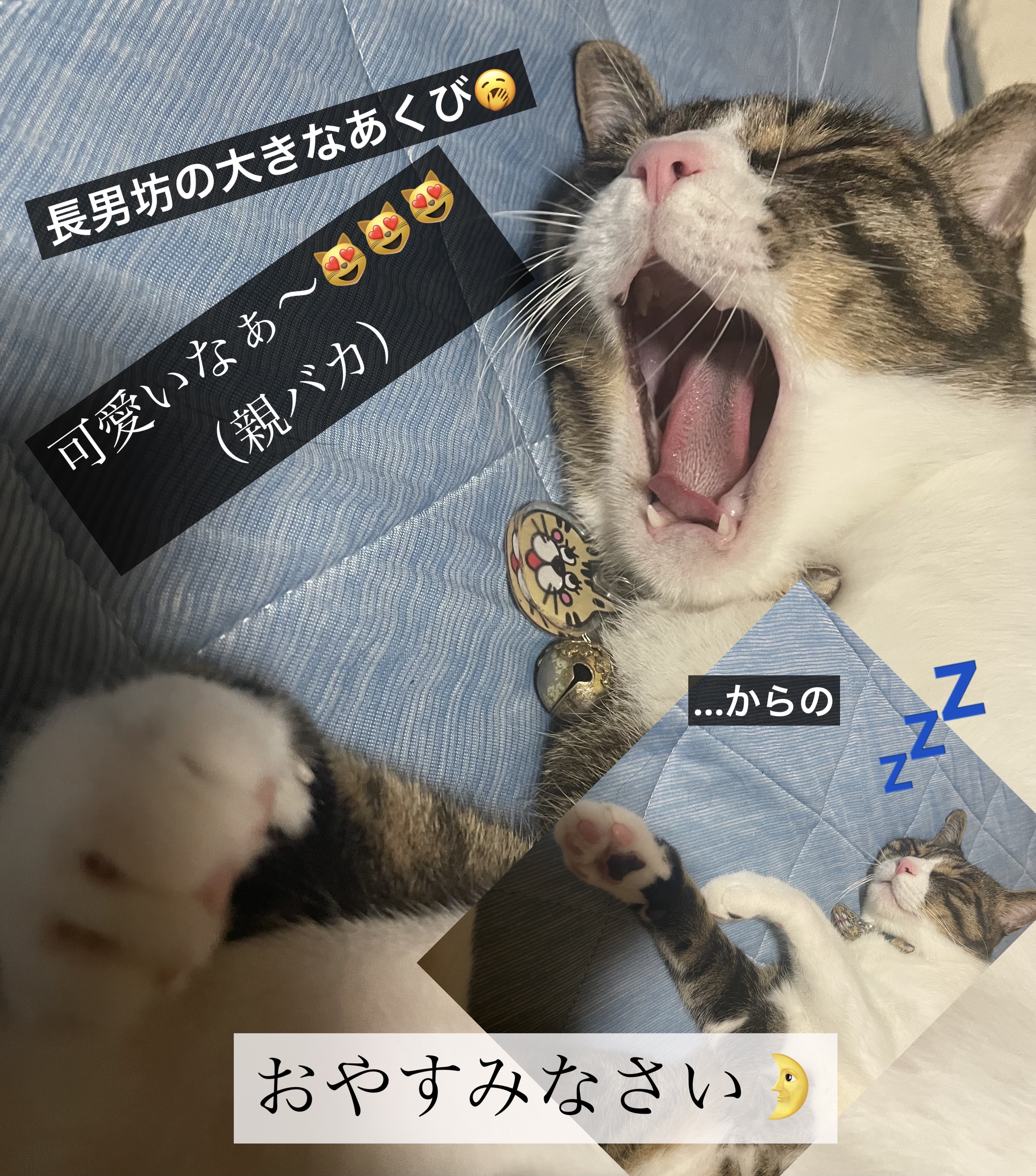 ピルクルミラクルケア/日清ヨーク/乳酸菌飲料を使ったクチコミ（2枚目）