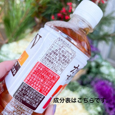 日本コカ・コーラ からだすこやか茶Wのクチコミ「【私の身体の健康茶🍵】買い物途中ですが。。

やっぱり身体に良いお茶選んじゃう！！


日本コ.....」（2枚目）