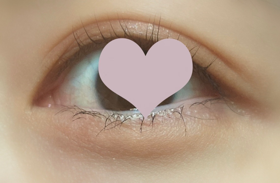 アイパレット/sopo/アイシャドウパレットを使ったクチコミ（1枚目）