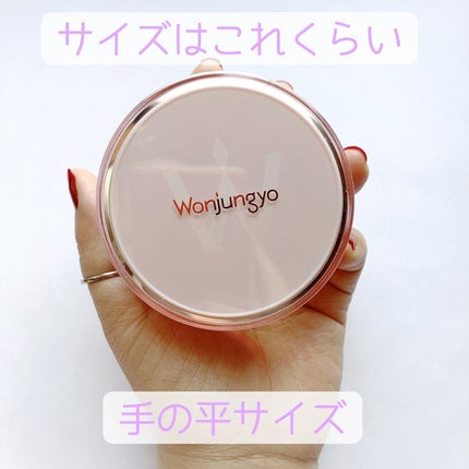 ウォンジョンヨ フィクシングブラーパウダー N/Wonjungyo/ルースパウダーを使ったクチコミ(3枚目)