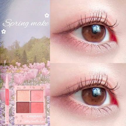 3wayスリムアイルージュライナー/キャンメイク/リキッドアイライナーを使ったクチコミ(1枚目)