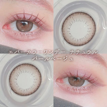 エバーカラーワンデー ナチュラル/エバーカラー/ワンデー(1DAY)カラコンを使ったクチコミ(6枚目)