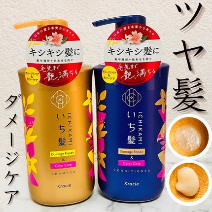 ãã¡ãŒãžãªãã¢ïŒã«ã©ãŒã±ã¢ ã·ã£ã³ããŒ/ã³ã³ãã£ã·ã§ããŒ/ãã¡é«ª/åžè²©ã·ã£ã³ããŒã䜿ã£ãã¯ãã³ãïŒ1æç®ïŒ