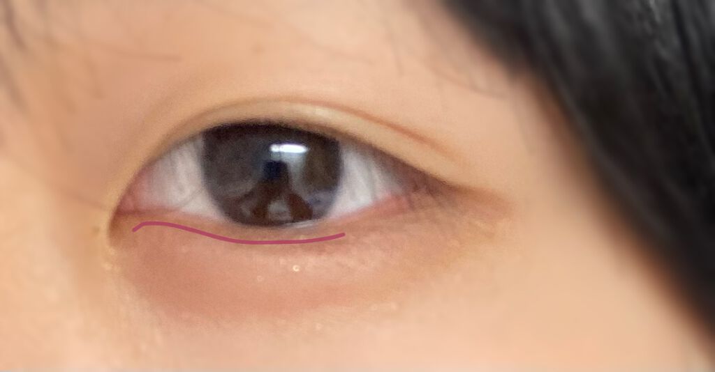 ナチュラル チークN/CEZANNE/パウダーチークを使ったクチコミ(2枚目)